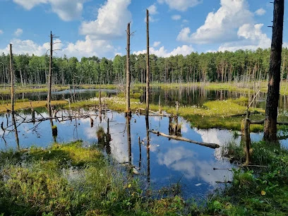 Bagno Bocianowskie (Rezerwat przyrody)