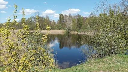 Bagno Pogorzel (Rezerwat przyrody)