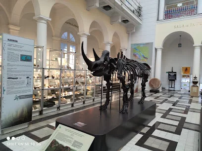Muzeum Geologiczne (Państwowy Instytut Geologiczny)